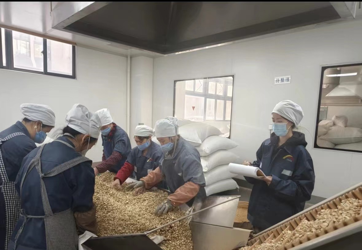 Qingdao Biohoer Biotech Co., Ltd. har officiellt startat byggandet