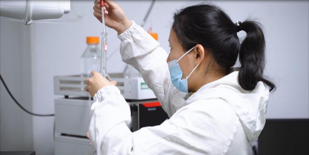 Innoverande växtbaserade tillverkning