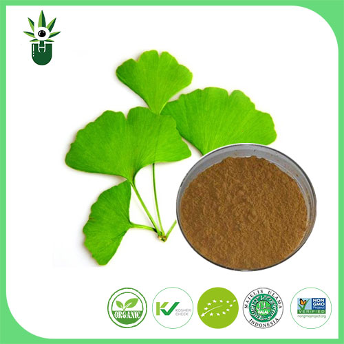 Vilka symtom kan Ginkgo Biloba Leaf Extract användas för att lindra?