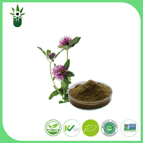 Medicago sativa L extrakt