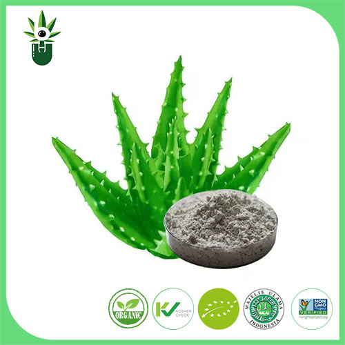 Aloe Vera extrakt