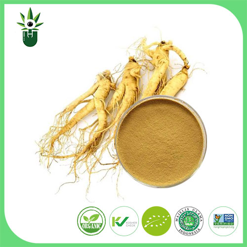 Amerikansk ginseng extrakt