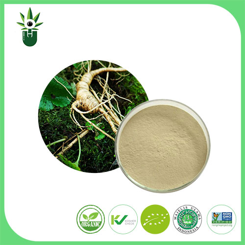 Ginseng extrakt